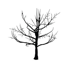 dead Tree silhouette on white background