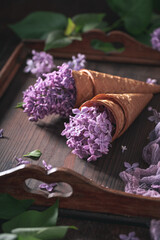 Violet ice cream of lilac flowers. Flower flavour ice cream.