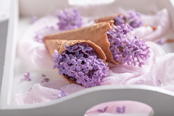 Obraz na płótnie Canvas Special ice cream of lilac flowers. Unique floral arrangement