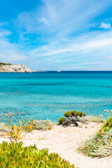 (Focus in the foreground) Stunning view of a coastline bathed by a blurred turquoise, clear sea. Rena Majore is a small seaside village that's located south of Santa Teresa Gallura, Sardinia, Italy.