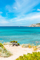 (Focus in the Background) Stunning view of a blurred coastline bathed by a turquoise, clear sea. Rena Majore is a small seaside village that's located south of Santa Teresa Gallura, Sardinia, Italy.