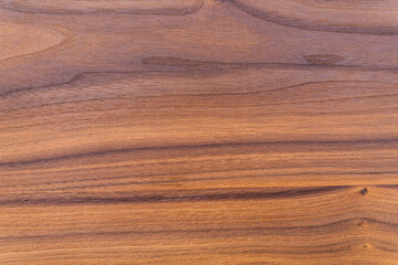 Texture Wood Oak. Light brown shade with natural pattern grain for Background