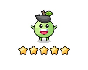 the illustration of customer best rating, guava cute character with 5 stars