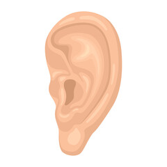 Human ear anatomy cartoon icon. Organ that enables hearing and balance. Deafness.
