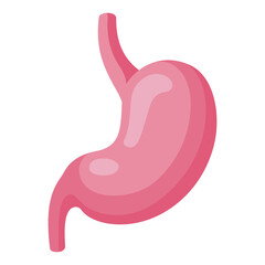 Stomach anatomy cartoon icon. Digestive system part. Muscular, hollow organ in gastrointestinal tract.