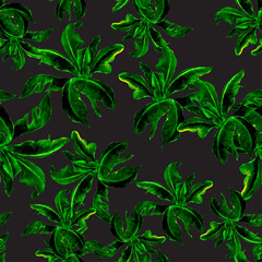 Organic Banana Leaf Foliage. Green Isolated Design. Seamless Garden. Pattern Foliage. Watercolor Wallpaper. Tropical Decor. Botanical Set. Art Decor.