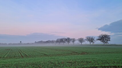 Fototapeta premium mist in the field
