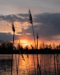 Naklejka premium Lake and sunset