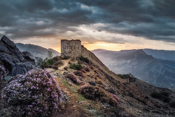 Obraz premium Dramatic sunrise at the ancient fortress on the top of the mountain. The Gunib fortress is a historical monument of Dagestan.