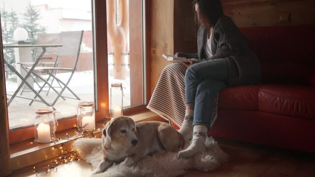 4K woman sitting on couch near window in winter with dog by her side and reading book. Staycation, staying at home, reading concept.