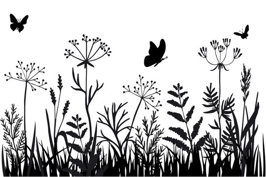 Black silhouettes of grass, flowers and herbs isolated on white background. Hand drawn sketch flowers and insects. Background herbs natural silhouette. Vector