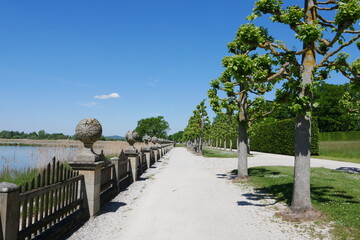 Allee mit Zaun und Linden neben Weiher im Schlosspark Seehof