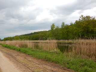 landscape with river