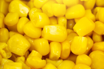 Canned Yellow Corn seeds background. Close up, macro photo.