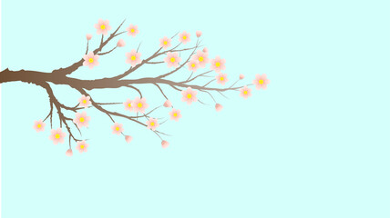 Sakura or Cherry Tree Branch with Blossoms
