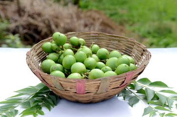 closeup bunch the ripe green tree fruit in the basket with leaves on the white green background.