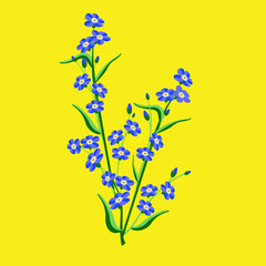 Forget-me-not flower bouquet.