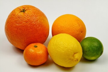Grapefruit, orange, lemon, tangerine and lime lie on a white table