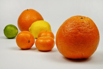 Grapefruits, orange, lemon, tangerines lie on a white table