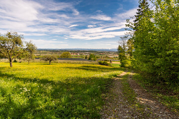 Along the premium hiking trail 