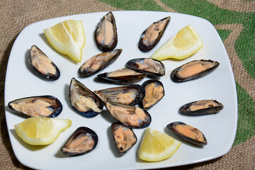 mussels original italian food