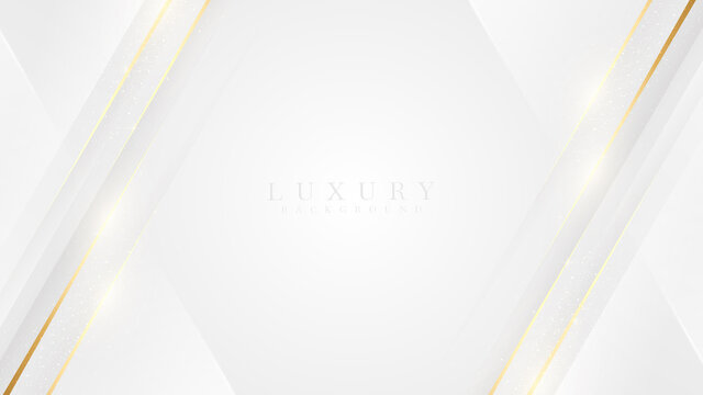 Elegant white shade background with line golden elements. Realistic luxury paper cut style 3d modern concept. vector illustration for design.