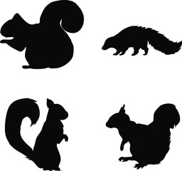 silhouettes of squirrel