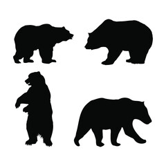 silhouette of bear