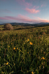 Fototapeta premium sunset in the mountains