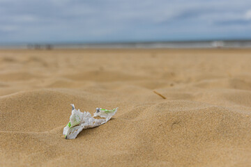 Paper litter on the beach