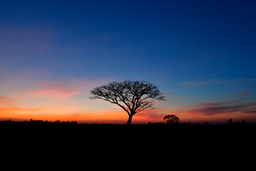 Fototapeta na wymiar Sunset Light from the sunset.