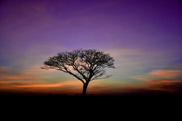 Fototapeta na wymiar Sunset Light from the sunset.