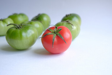 success concept. one red tomato among green tomatoes. Leadership, uniqueness, think different,...