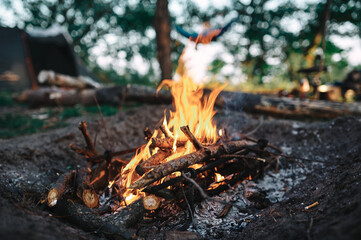 Big bonfire in the forest, camping