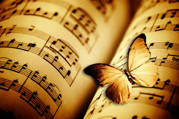 beautiful romantic background with music sheets with notes and with butterfly over old grunger wall like art and artistic concept