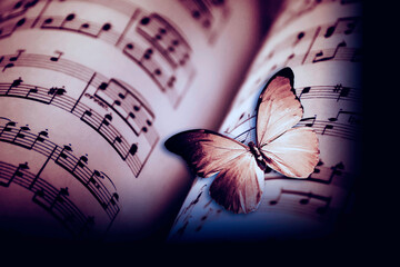 beautiful romantic background with music sheets with notes and with butterfly over old grunger wall like art and artistic concept