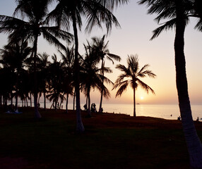 sunset on the beach with palm trees