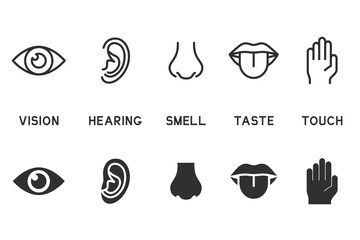 Vector set of five human senses icons. Contains icons vision, hearing, smell, taste, touch.