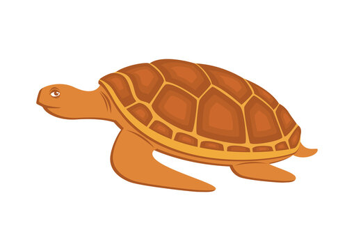 Happy brown sea turtle icon vector. Sea turtle icon isolated on a  white background. Turtle cartoon character