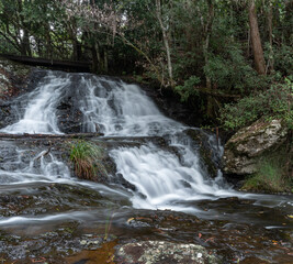 Water streams and falls in rainforest, Springbrook National Park, Queensland, Australia