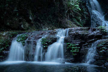 Obraz premium Box Log Falls, Lamington National Park, Queensland Australia