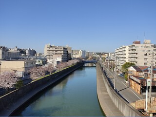 blue sky