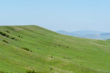 Fototapeta premium landscape with sky