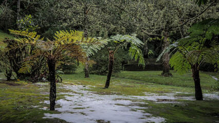 Madeira is a Portuguese island with great nature and hiking trails.