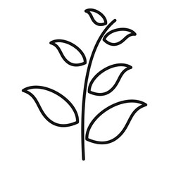 Essential oils field plant icon, outline style