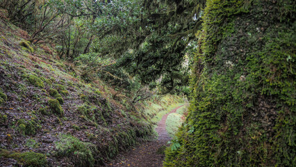 Madeira is a Portuguese island with great nature and hiking trails.