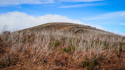 Madeira is a Portuguese island with great nature and hiking trails.