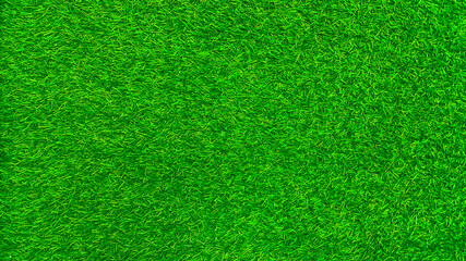 Green grass texture background grass garden  concept used for making green background football pitch, Grass Golf,  green lawn pattern textured background.