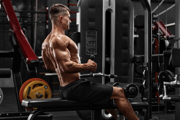 Fototapeta na wymiar Muscular man doing cable row exercise for back. Strong male working out in gym
