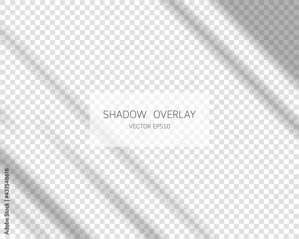 Poster shadow overlay effect. natural shadows from window isolated on transparent background. vector illust